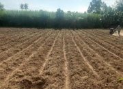 Pendekar Tani Beri Manfaat ke Petani Terdampak Jebolnya DAM Gambiran