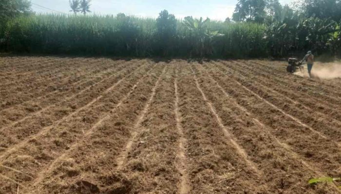 Pendekar Tani Beri Manfaat ke Petani Terdampak Jebolnya DAM Gambiran