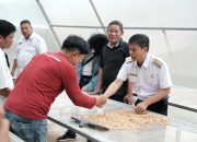 Melihat Pabrik Kopi Pokiringan Mamasa, Bersama Pj Bupati
