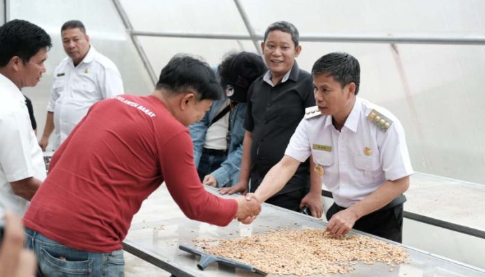 Melihat Pabrik Kopi Pokiringan Mamasa, Bersama Pj Bupati