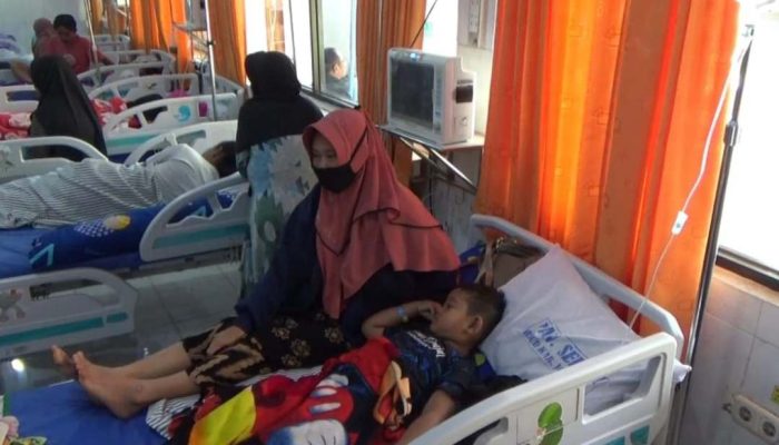 Waspada, Kasus DBD di Jombang Naik, Renggut 4 Nyawa