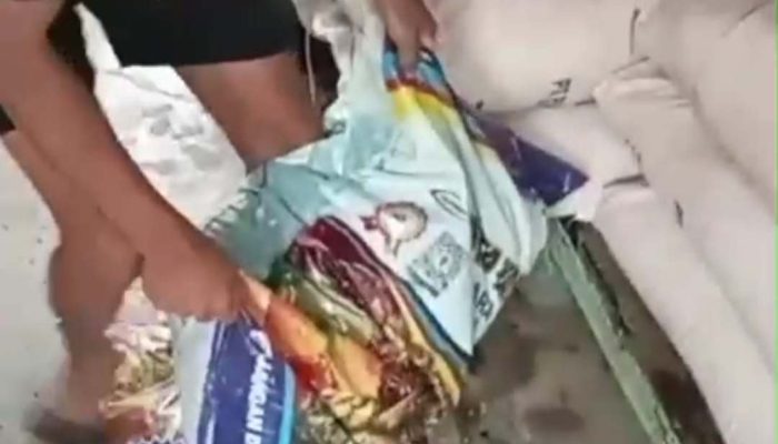 Awas Penipuan, di Lumajang Pengedar Pupuk Palsu Bawa GrandMax Hitam Cari Mangsa