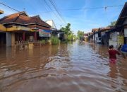 Hujan Semalam Rendam Satu Desa di Jombang, Ketinggian Air 1,5 Meter