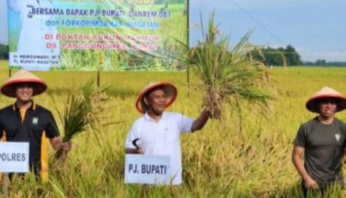 Magetan Panen Raya di Musim Hujan Baik-baik saja