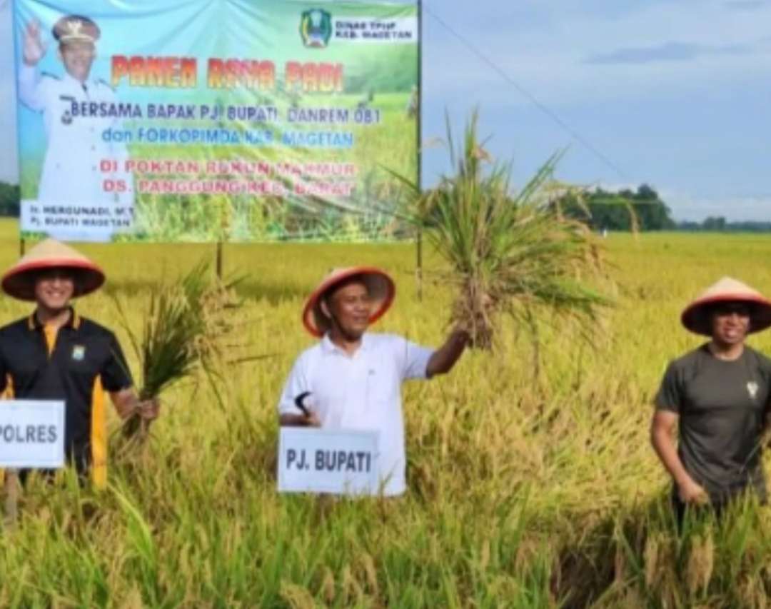 Panen raya