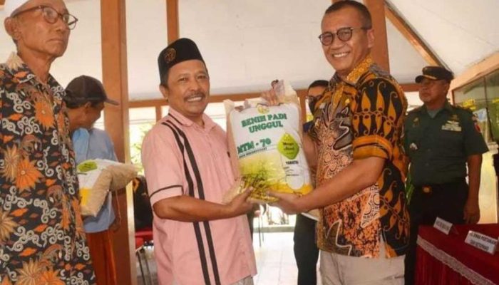 Pj Bupati Bondowoso Beri 65 Poktan Benih Padi Gratis