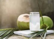 Air Kelapa Hijau: Minuman Segar Kaya Manfaat untuk Kesehatan