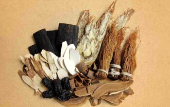 pengobatan tradisional