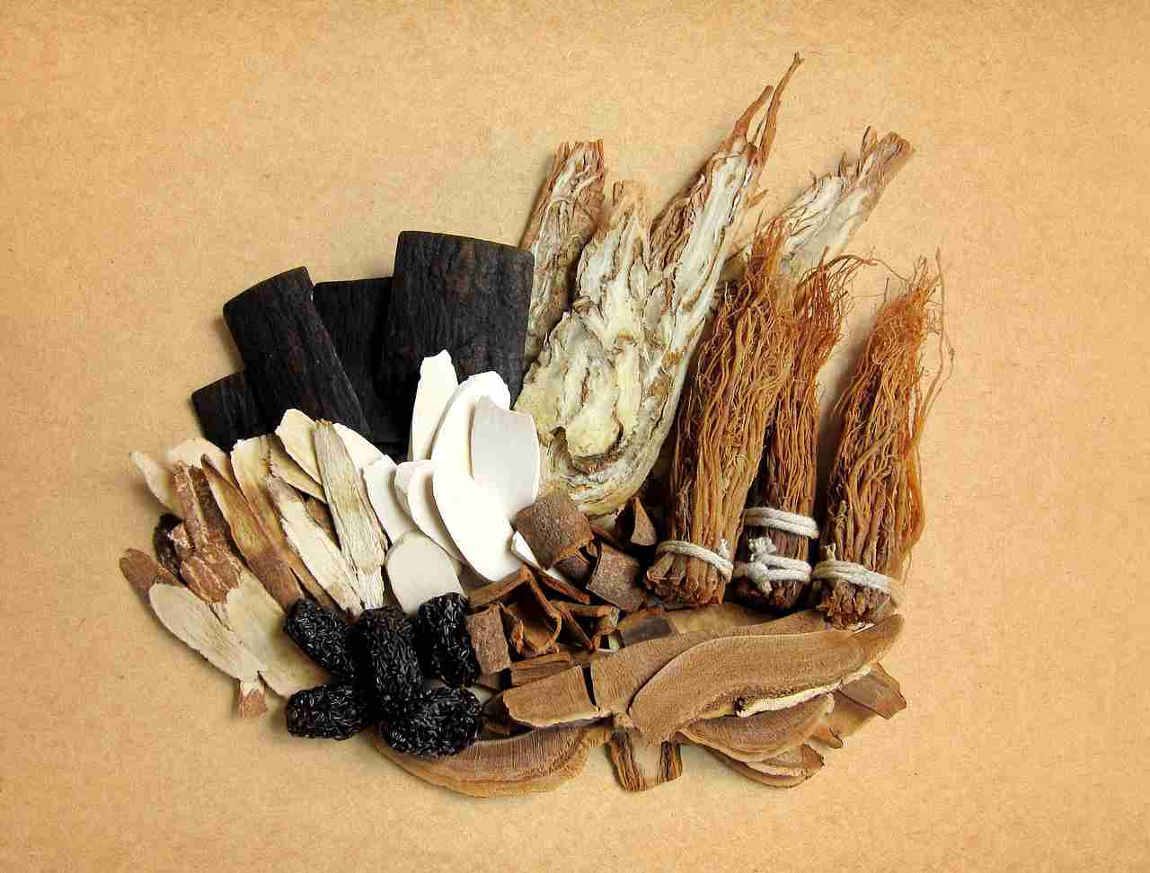 pengobatan tradisional