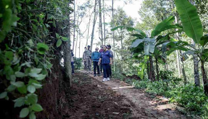 Pemkab Jember Lebarkan Jalan Menuju Sekolah di Atas Awan