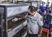 Bupati Jember Kunjungi Pabrik Maggot Milik Poktan Desa Sukamakmur