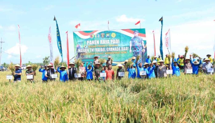 Warga Desa Sekarputih Widodaren Memasuki Panen Raya