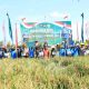 Panen raya
