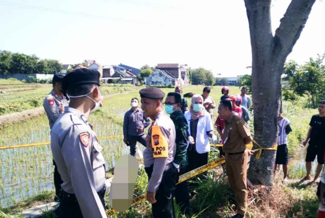 Petani Magetan