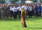 Hari Pertama Kerja, Puluhan ASN di Jombang Bolos Hingga Terlambat Ikuti Apel