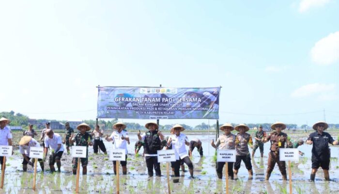 Kapolres dan Bupati Ngawi Gerak Bersama Tanam Padi di Geneng