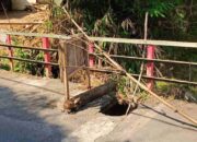Jembatan Segaran Banjararum Singosari Masuk Skala Prioritas Segera Direhab