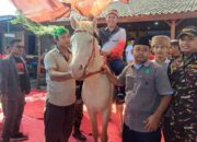 Diisukan Mundur Bacabup PKB, Ra Hamid Malah Kumpulkan Ribuan Pengikutnya