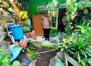 Duh, Kakek Magetan Ini Ditemukan Tewas di Kolam Ikan Koi