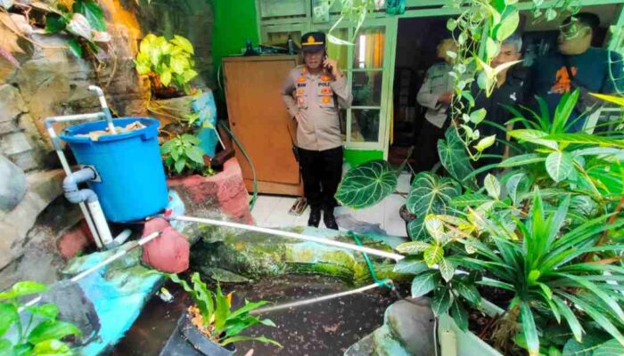 Duh, Kakek Magetan Ini Ditemukan Tewas di Kolam Ikan Koi