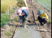 Desa Pacalan Rabat Beton Jalan Pemukiman Pertanian