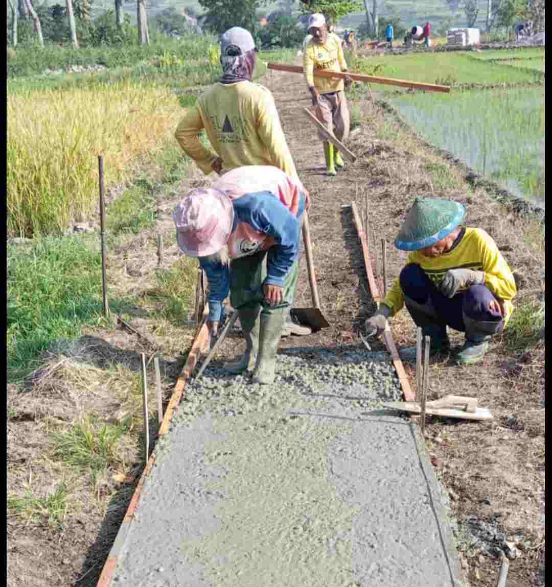 Desa Pacalan