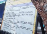 Hilangnya Retribusi Parkir Berlangganan, Diduga Rawan Pungli di Jukir