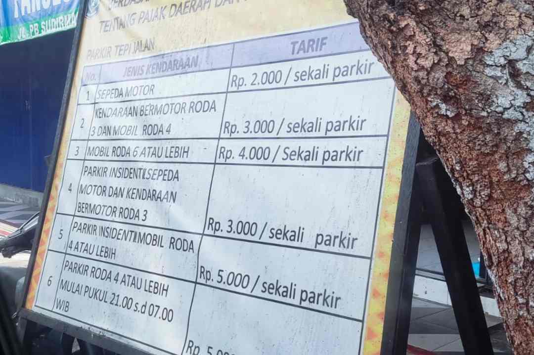 Retribusi Parkir