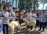 Bupati Serahkan Hewan Kurban ke Pengurus PGRI Malang