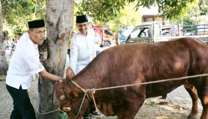 Polres Magetan Tebar Kebajikan di Hari Raya Idul Adha