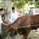 Hari Raya Idul Adha