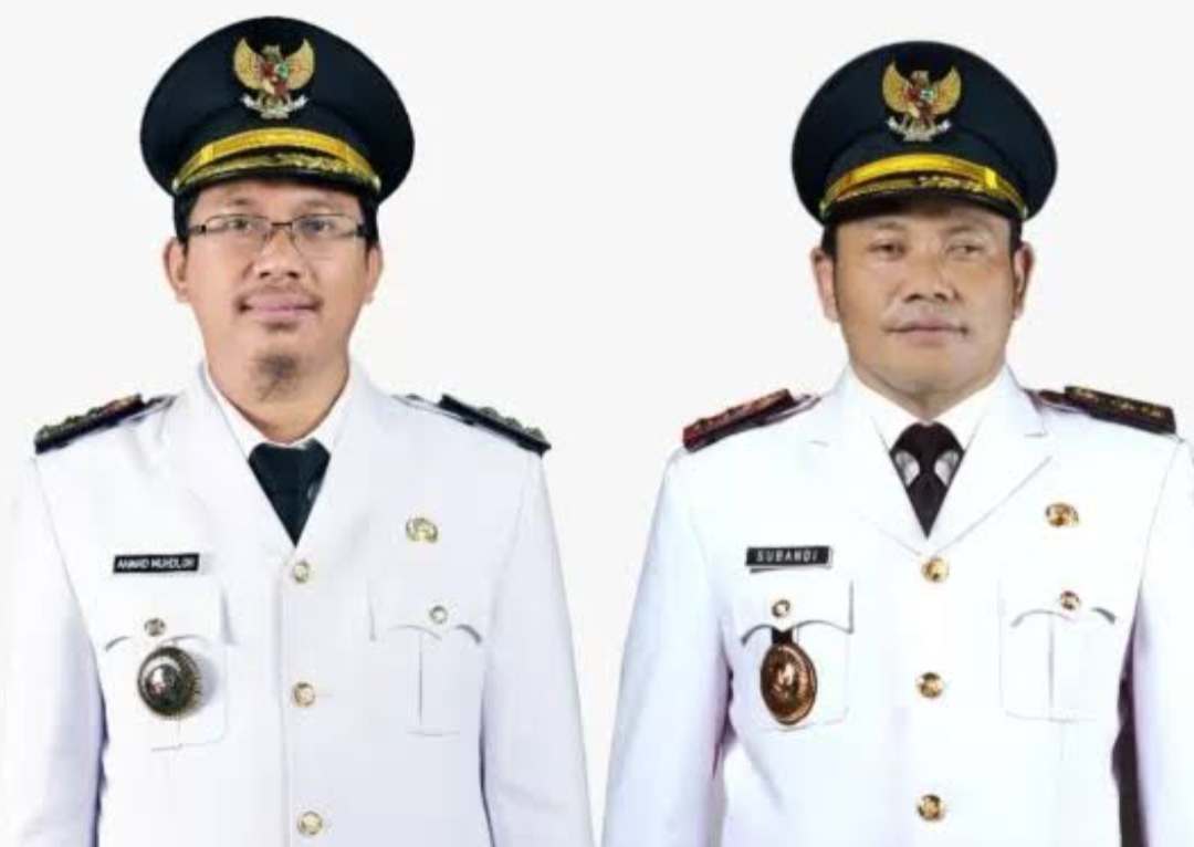 Program Kurma