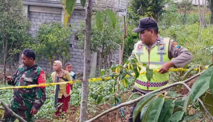 Tim Jihandak Brimob Jinakkan Mortir Temuan di Ladang Warga