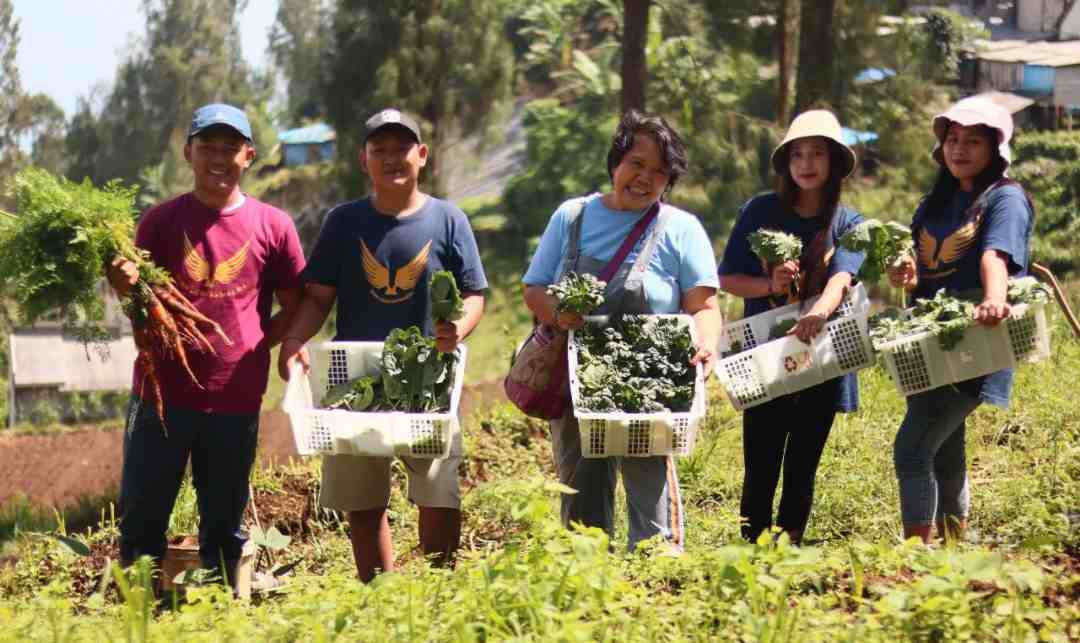 Yayasan ALIT