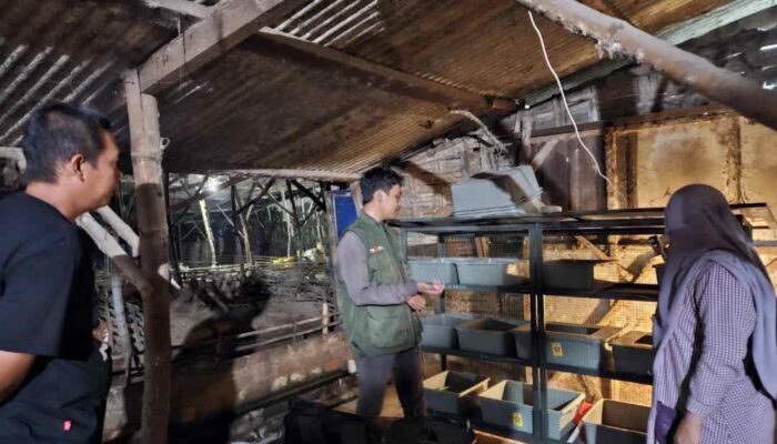 Mahasiswa UNAIR Lolos Pendanaan P2MW Berkat IoT