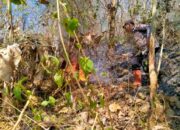 Areal Hutan Gunung Liliran Desa Tulakan Terbakar