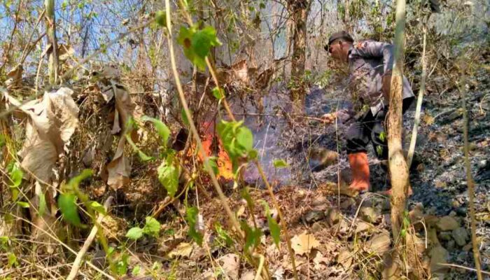 Areal Hutan Gunung Liliran Desa Tulakan Terbakar