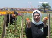 Gerbastani, Pertemukan Pembeli dan Petani Langsung