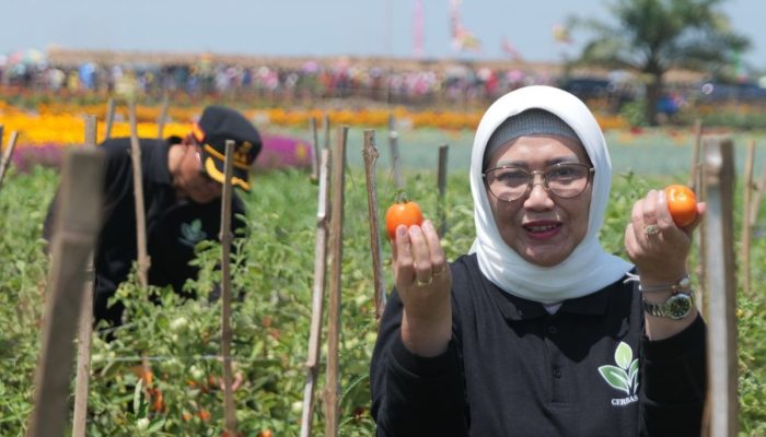 Gerbastani, Pertemukan Pembeli dan Petani Langsung