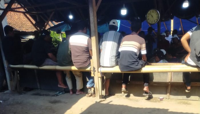Di Malang Selatan Perjudian Marak, Warga Resah