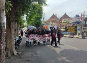 Pengelola Kebun Ganja di Senduro Dibunuh ? Puluhan Massa Pemuda Lumajang Luruk Polres