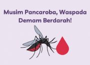 Program Satu Rumah Satu Jumantik, Gerakan Masif Cegah DBD
