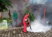Cegah DBD, SDN Citrodiwangsan 02 Lumajang Lakukan Fogging