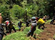 Menguak Dalang Ribuan Tanaman Ganja di Lereng Semeru