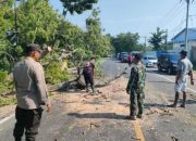 Gadis Muda Ini Tewas Tertimpa Pohon di Ruas Jalan Maospati Ngawi