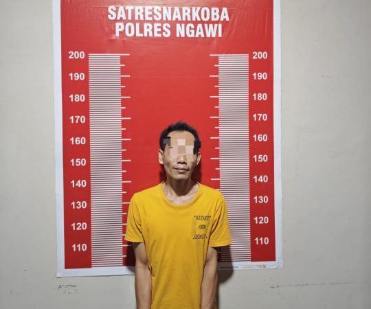 Maniak Sabu