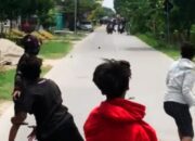 Usai Kampanye, Massa Pendukung Teguh-Farida Bentrok dengan Warga