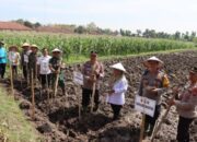 Dukung Swasembada Pangan, Polres Magetan Tanami Lahan Tidur