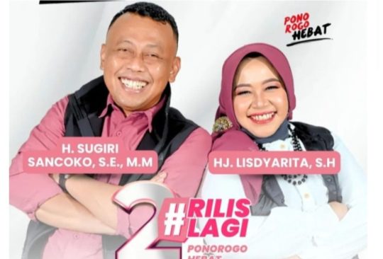 Rilis