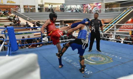 Kejurnas Tarung Bebas 2024, Sidoarjo Raih Juara Umum